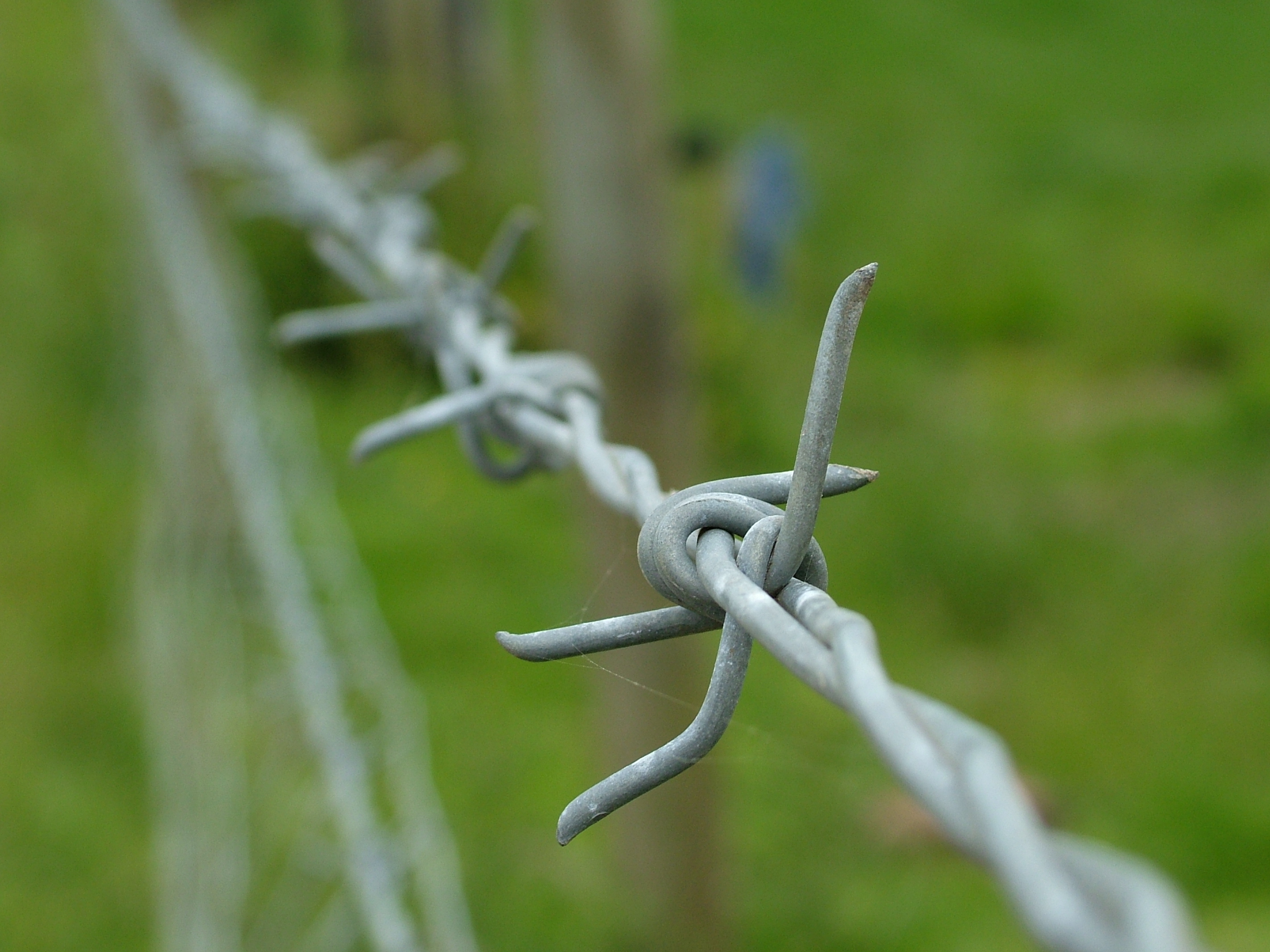 barbed wire2