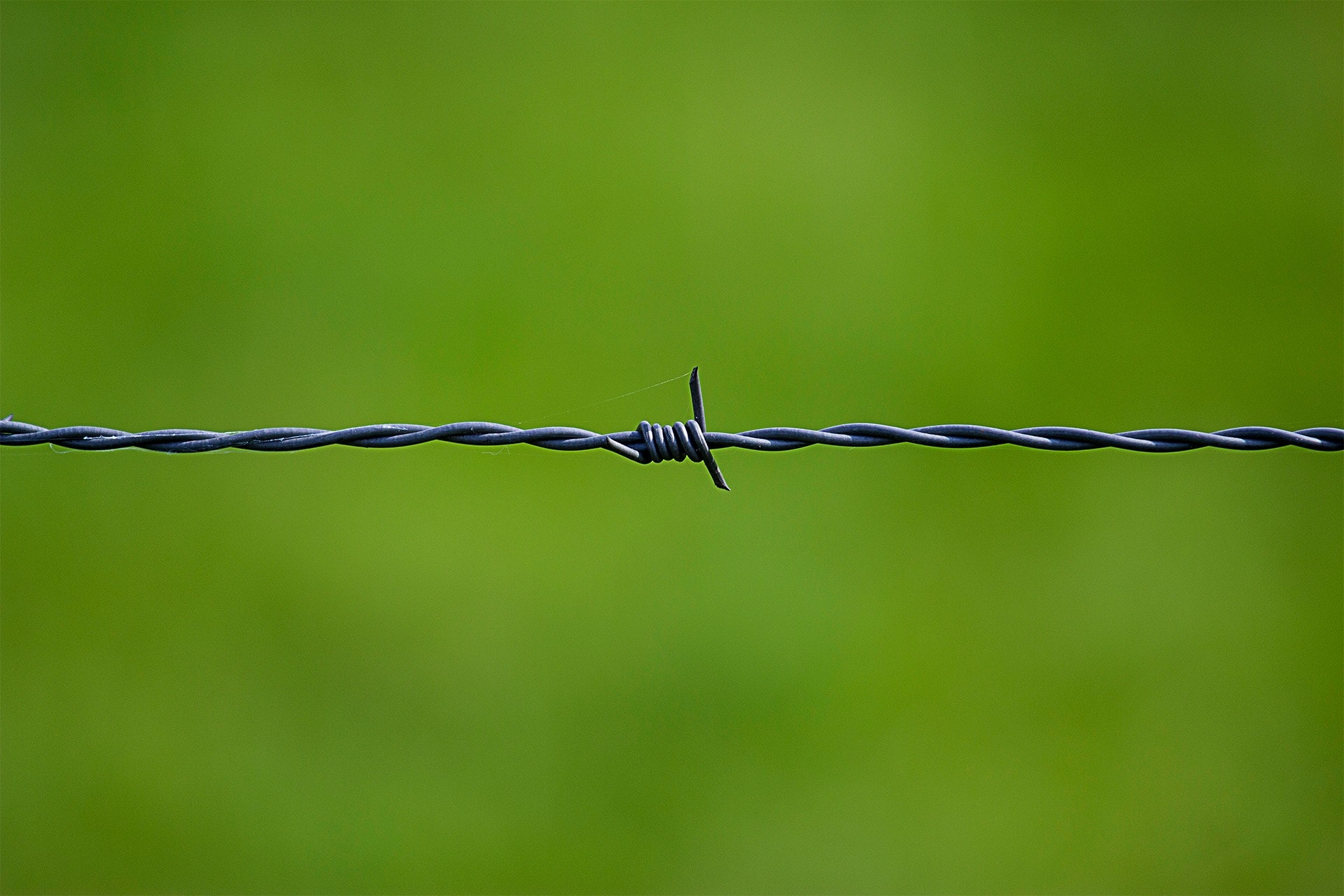 barbed wire4