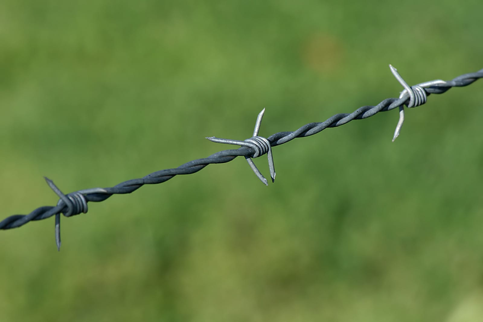 barbed wire 6